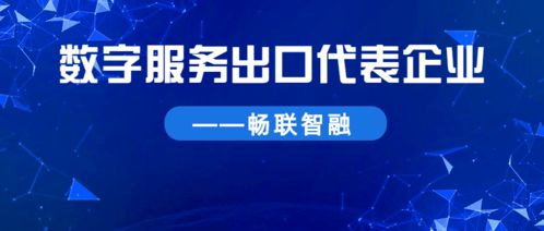 聚焦數字服務出口 服務為本，暢聯全球數字技術服務